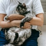 Chat roux allongé sur les genoux d'une femme dans un salon lumineux