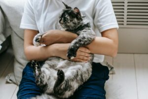 Chat roux allongé sur les genoux d'une femme dans un salon lumineux